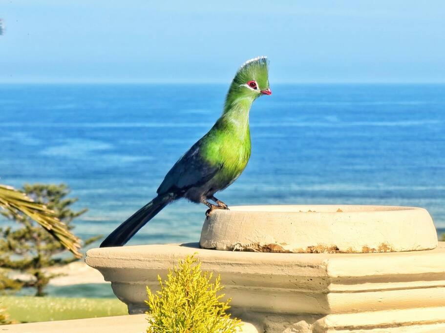 Livingstone Villa Wildernis Esterno foto