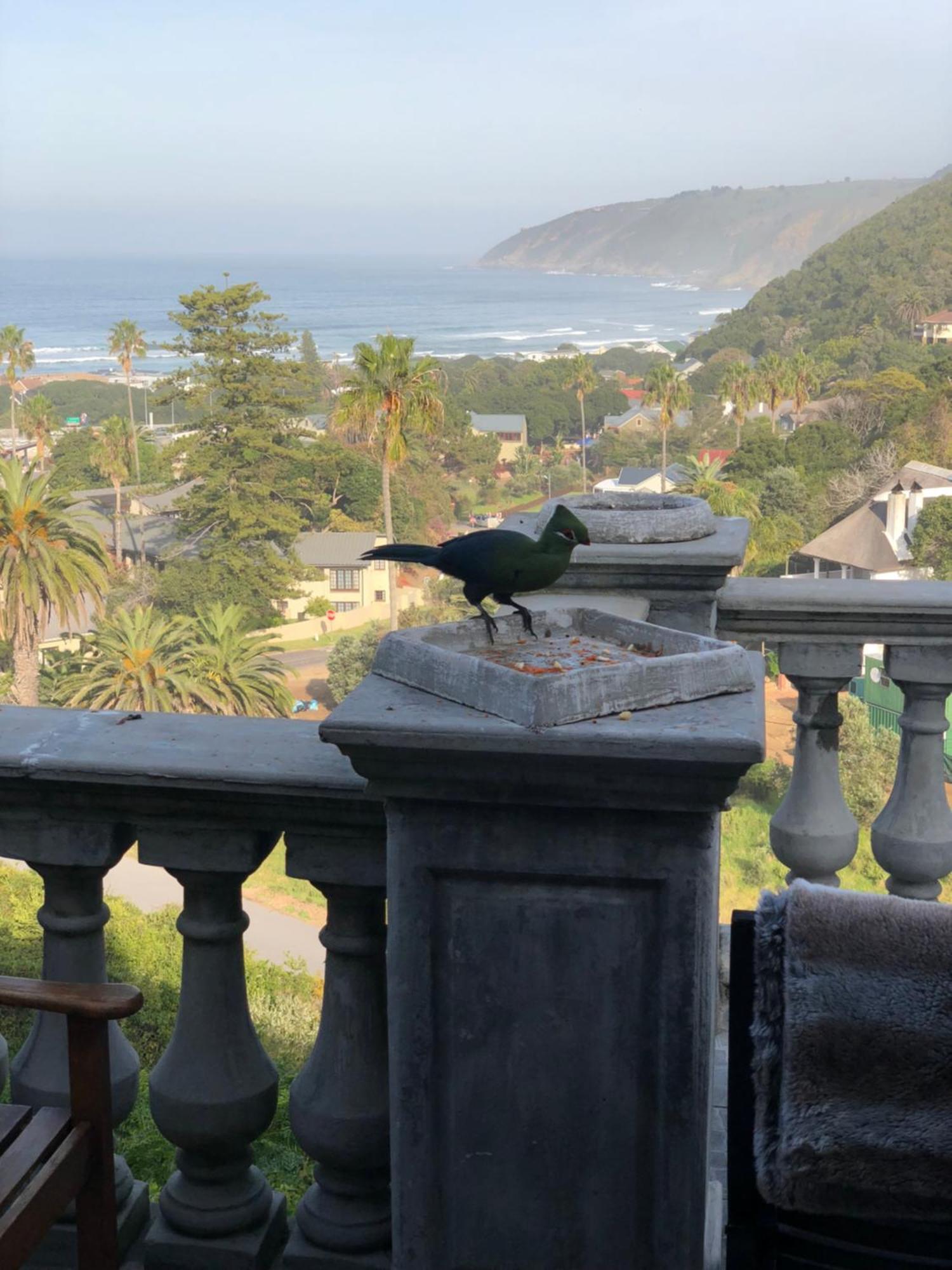 Livingstone Villa Wildernis Esterno foto