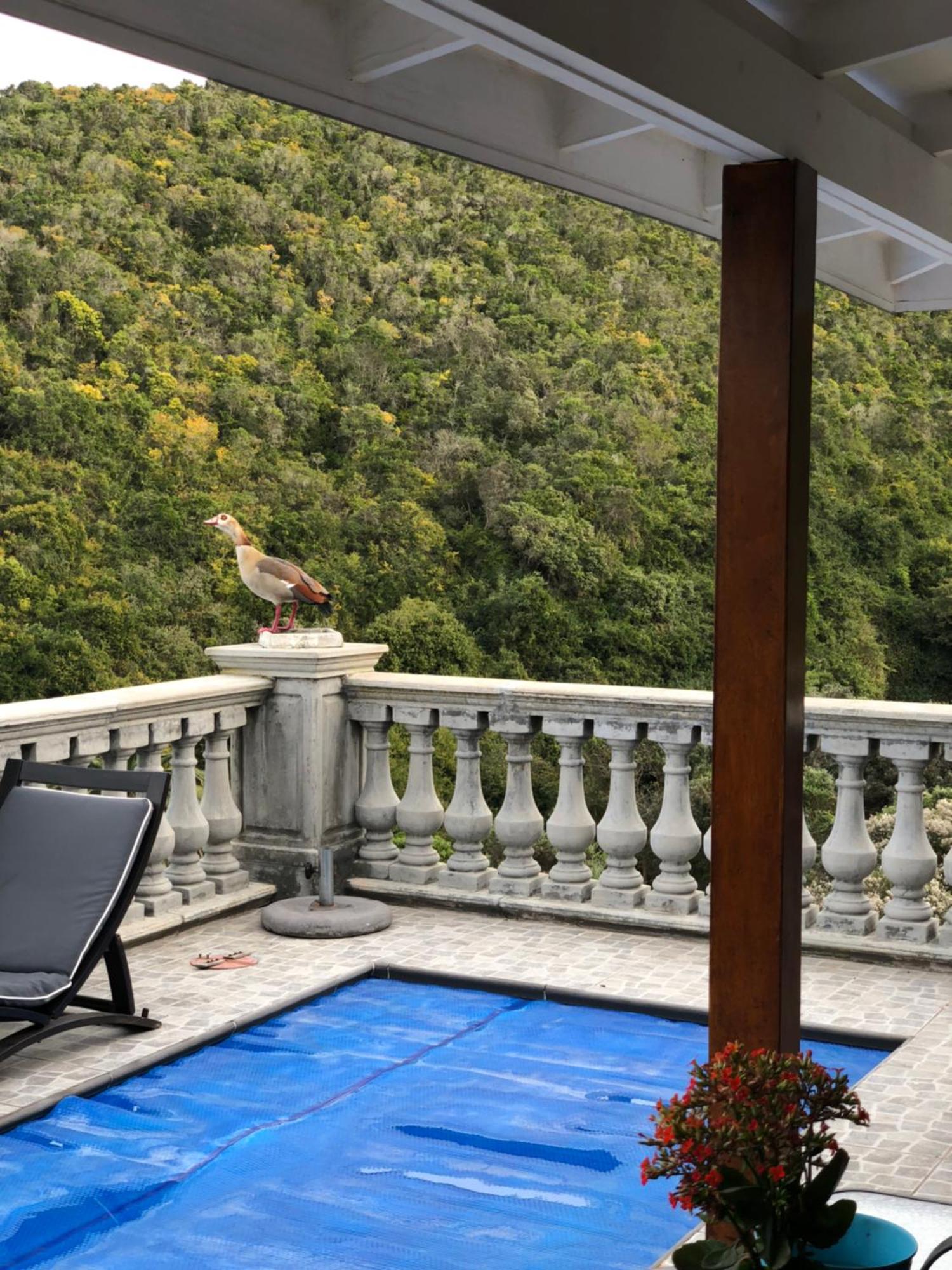 Livingstone Villa Wildernis Esterno foto